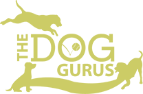 The Dog Gurus